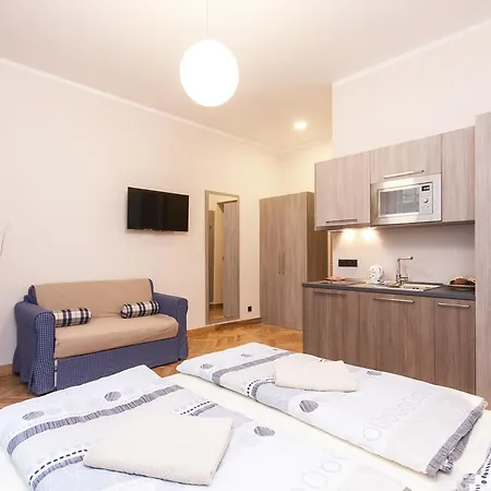 Manesova Astra Apartament *
