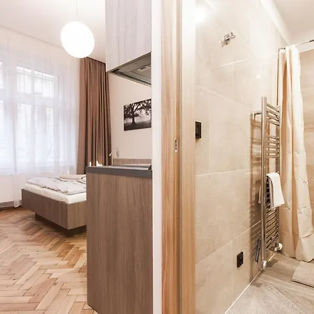 Manesova Astra Apartament *