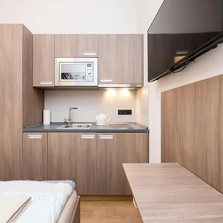 Apartament Manesova Astra *